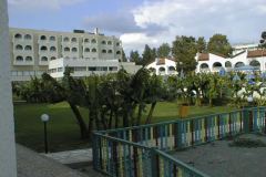 PIC00009