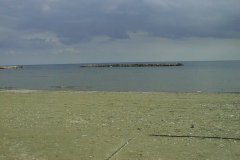 PIC00011