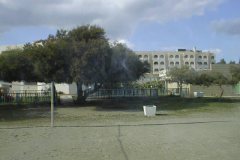 PIC00015