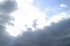 PIC00018
