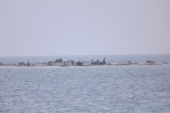 DSCF0630