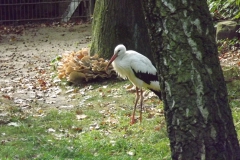 DSCF1643