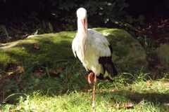 DSCF1651