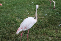 20180712142111_IMG_4378