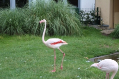 20180712142116_IMG_4379