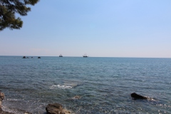 20190419102404_IMG_5013
