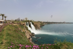 20190425115437_IMG_5248