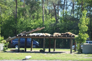 2020 - Safaripark Stukenbrock