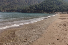 IMG_20200304_124806