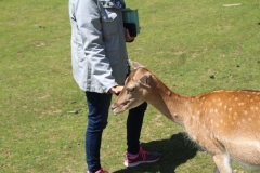 IMG_5850